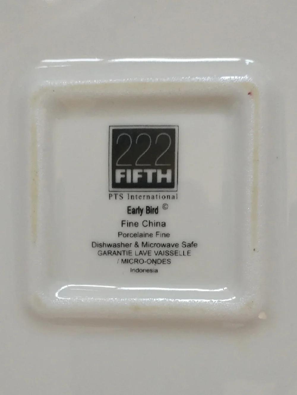 222 Fifth Pts International White Ceramic Square Dinner Plates Early Bird 2X Set